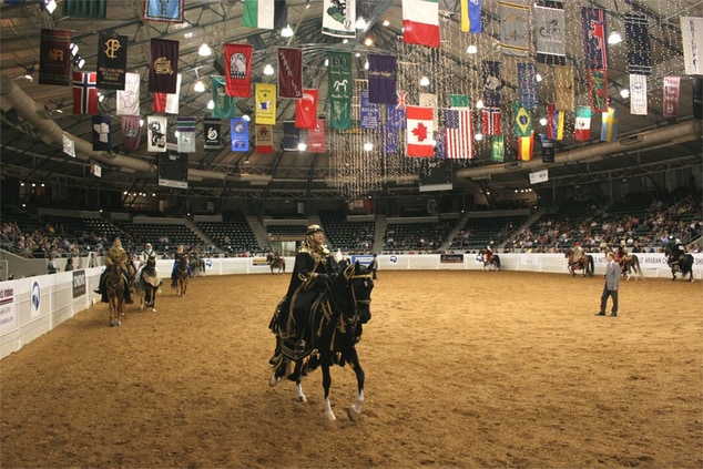 Tulsa Arabian National Horse Show