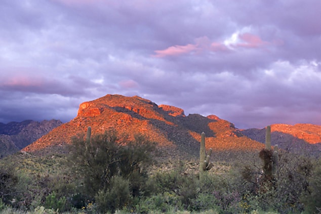Sabino Canyon Tucson AZ