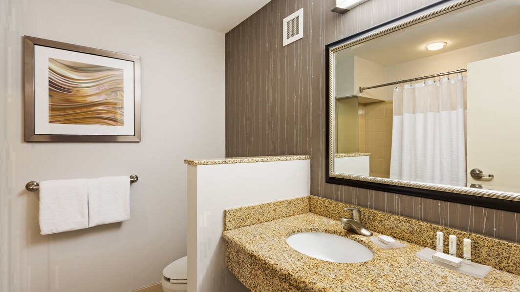 Bathroom Vanity with Lighted Mirror and Amenities